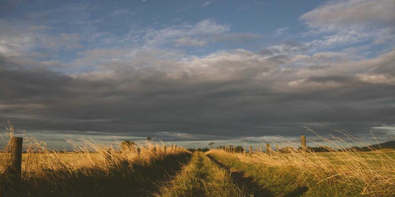 智聪16834：重新定义智能手机与智能家居的创新科技融合