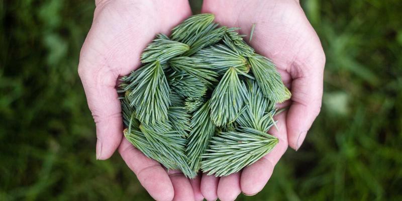 智聪1684：重新定义可穿戴科技，开启消费电子新纪元