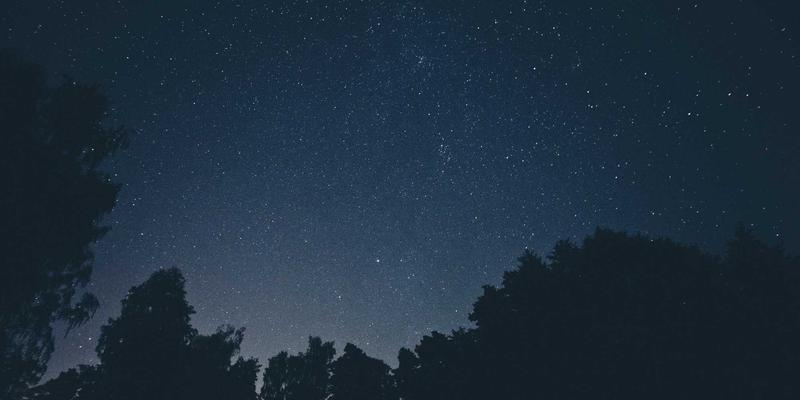 智聪16879:解码可穿戴设备与智能手机的消费电子新生态