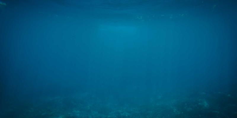 智聪16887：重新定义智能手机体验的科技新标杆