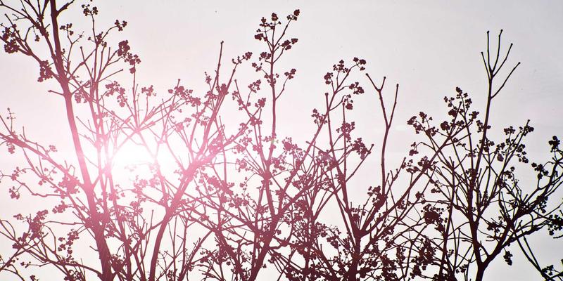 智聪16889深度评测：当创新科技遇见日常可穿戴，重新定义智能生活