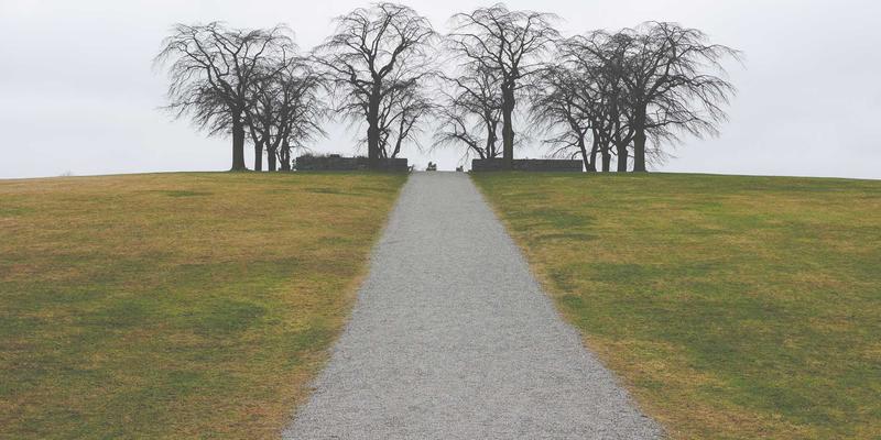 智聪168儿童看护场景评测：声光敏感度阈值如何设置才科学？