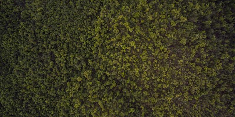 智聪168智能厨房解决方案深度评测：创新科技如何重塑烟感联动、厨电控制与食材管理