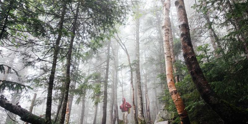 智聪168智能灌溉系统：如何用智能硬件打造会思考的庭院浇灌方案