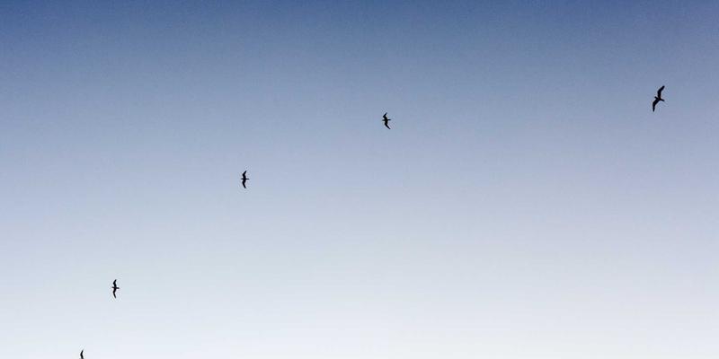 智聪168智能硬件与可穿戴设备：中小户型住宅的性价比创新科技部署方案