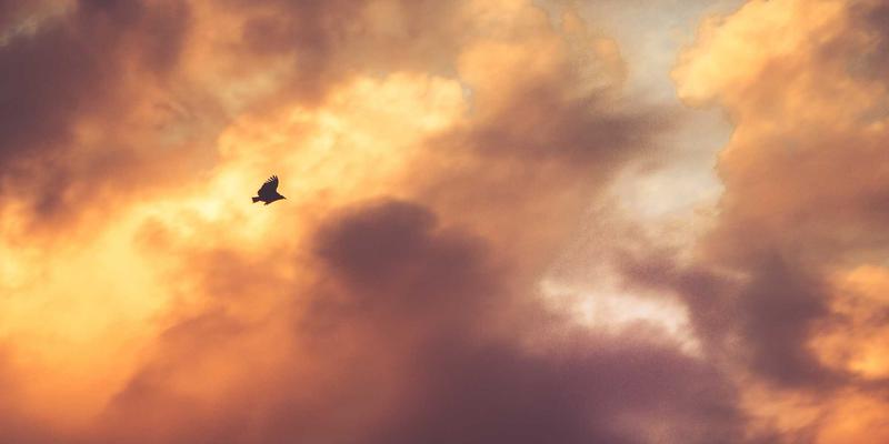 智聪168老人看护模式实战：如何用智能家居与可穿戴设备实现远程安心守护