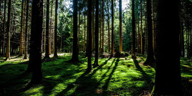 科技评测 | 智聪168系统稳定性揭秘：智能手机与智能硬件如何通过本地中枢保障断网场景不失效